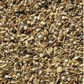 Badem Akvaryum 500 gr Sağlık Tohumu Kuş Yemi