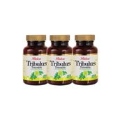 Balen Tribulus Terrestris 620 mg 3x60 Kapsül