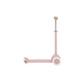 Banwood Eco Gül Kurusu Scooter
