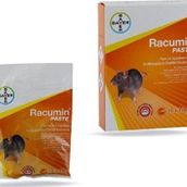 Bayer Racumin 100 gr Fare Yemi