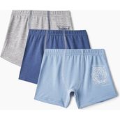 Baykar 3106 Kaplan Baskılı 3'lü Paket Mavi Erkek Çocuk Boxer