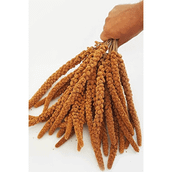 Beaks Kızıl 115 gr Doğal Dal Darı