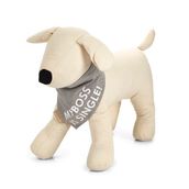 Beeztees Small Gri 22 x 12 Bandana Boyun Tasması