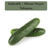 Beith Alpha 1 gr Hıyar Tohumu