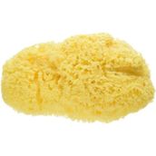 Bellini %100 Doğal Akdeniz Süngeri - Bebek Banyo Süngeri - 10 x 10 cm - 0002R72