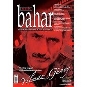 Berfin Bahar Dergisi Sayı: 223 - Kolektif