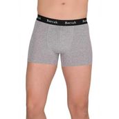 Berrak 4476 Pamuk Modal Likralı Gri Erkek Boxer