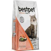 Bestpet 1 kg Somonlu Yetişkin Kısırlaştırılmış Kedi Maması