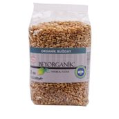 Beyorganik Organik 500 gr Buğday