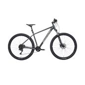 Bianchi 29J Magma 29S Cues 18V HD Celeste Gri 48 Kadro Dağ Bisikleti