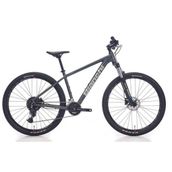 Bianchi Magma 29.1 530H HD 29 Jant 24 Vites Altus Dark Grey Silver Gloss Erkek Dağ Bisikleti