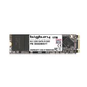 Bigboy BSSD80S1T 1 TB 550-430 MB/s 22x80 M.2 SATA3 Harddisk SSD