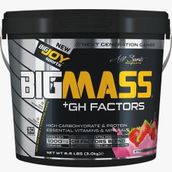 BigJoy Sports 3000 gr Çilek Aromalı Big Mass Gh Factors