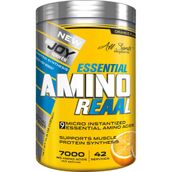 Bigjoy Sports Reaal Portakal 420 gr Amino Asit