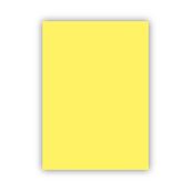Bigpoint 50x70 CM 120 GR Sarı Fon Kartonu