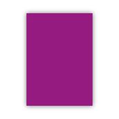 Bigpoint 50x70 cm 160 gr 100'lü Mor Fon Karton