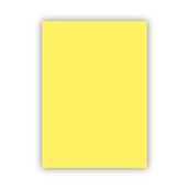 Bigpoint 50x70 cm 160 gr 100'lü Sarı Fon Karton