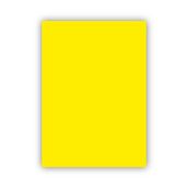 Bigpoint 50x70 CM 160 GR Limon Sarısı Fon Kartonu