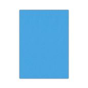 Bigpoint 50x70 cm Mavi 10'lu Eva