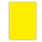 Bigpoint Limon Sarısı 50x70 cm 100'lü Fon Kartonu