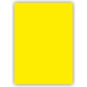 Bigpoint Limon Sarısı 50x70 CM 160 GR 100'lü Fon Kartonu
