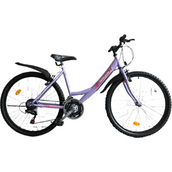Bisan Sentiero V 24 Jant 21 Vites 44 cm Mor Beyaz Kadın Dağ Bisikleti