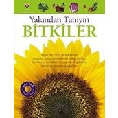 Bitkiler Yakından Tanıyın - David Burnie