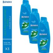 Blendax Isırgan Özlü 3x500 ml Saç Dökülmelerine Karşı Şampuan