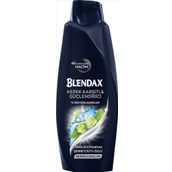 Blendax Men 500 ml Kepeğe Karşı Şampuan