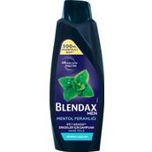 Blendax Mentol Ferahlığı 500 ML 4'ü 1 Arada Şampuan