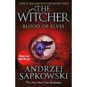 Blood of Elves: Witcher 1 - Now a Major Netflix Show