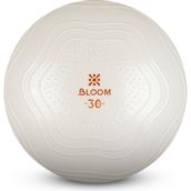 Bloom Lb7001 30 cm Beyaz Mini Pilates Topu Pompası
