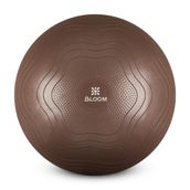Bloom LB7051 55 cm Kahverengi Pilates Topu