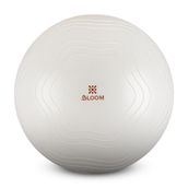 Bloom LB7051 65 cm Beyaz Pilates Topu