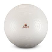 Bloom LB7051 75 cm Beyaz Pilates Topu