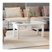 BMdekor Loft Orta Sehpa