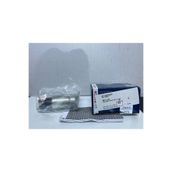 Bosch Ford Escort elektrikli yakıt pompası 3.5 BAR 1991-2001 arası OEM no 0580453453