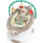 Bright Starts Sallanan Bebek Titreşimli Ana Kucağı