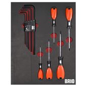 Brio Torx Seti ve Allen Seti Uzun 14 Parça Sünger Yataklı Tornavida