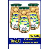 Burcu Bütün Mantar Konservesi 560 gr x 3 Adet