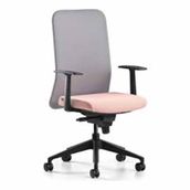 Bürotime Comfy Sabit Kol Plastik Ayak Gri/Somon Çalışma Koltuğu