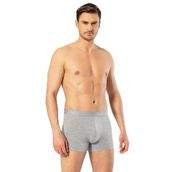 Cacharel 1405 Gri Erkek Boxer