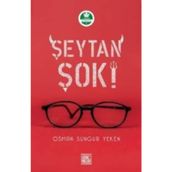 Çağdaş Siyaset Felsefesi Kılavuzu - Thomas Pogge Philip Pettit Robert E. Goodin