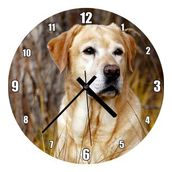 Cakatablo Kuru Otların Arasındaki Labrador Duvar Saati