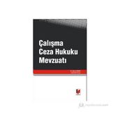 ÇALIŞMA CEZA HUKUKU MEVZUATI - BARIŞ DUMAN