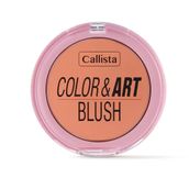 Callista Color Art Blush No:120 So Peachy Allık