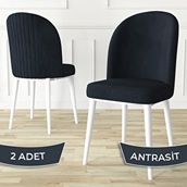 Canisa Aste Serisi 2 Adet Antrasit 1. Sınıf Babyface Kumaş Metal Beyaz İskeletli Yemek Odası Sandalyesi