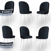 Canisa Bika Serisi 6 Adet 1. Sınıf Babyface Kumaş Beyaz Gürgen Ayaklı Antrasit Yemek Odası Sandalyesi