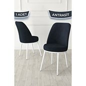 Canisa Jaxe Serisi Antrasit 1. Sınıf Babyface Kumaş Metal Beyaz İskeletli Yemek Odası Sandalyesi