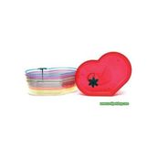 Canlı Petshop Kaplumbağa Bahçesi Kalp Desenli